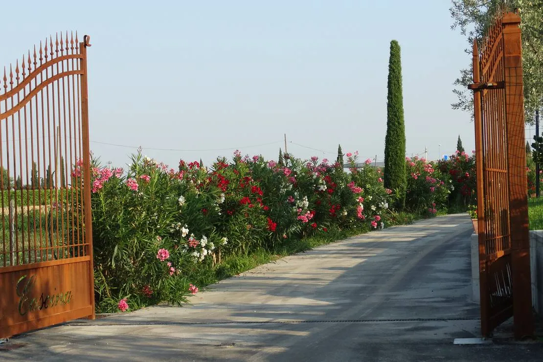 agricamping-mabellini-rivoltella-zqp8m