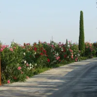 agricamping-mabellini-rivoltella-zqp8m