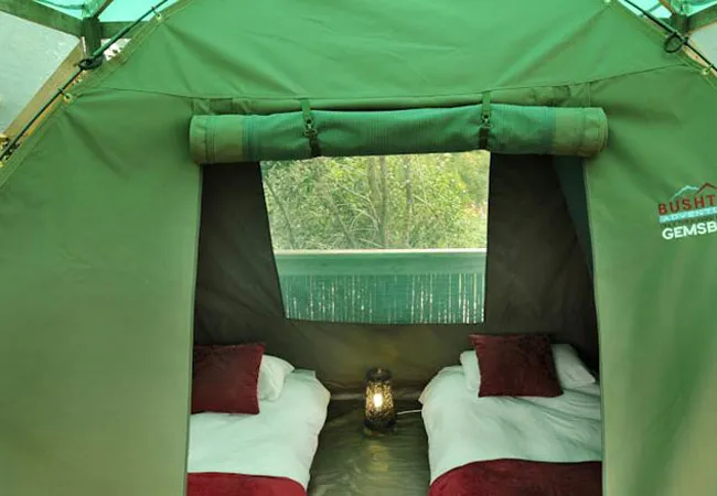 tube-n-axe-backpackers-lodge-storms-river-tsitsikamma-kw6uy