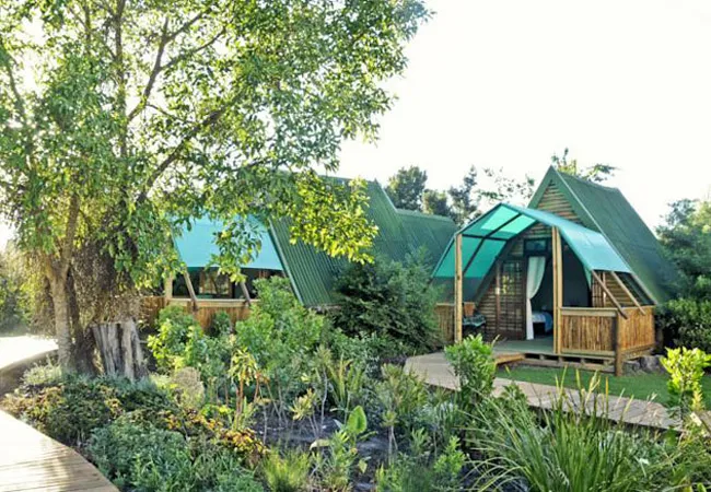 tube-n-axe-backpackers-lodge-storms-river-tsitsikamma-mshsp