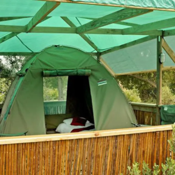 Tube n Axe Backpackers Lodge