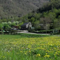viu-torla-6vcfo