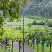 viu-torla-9j4jr