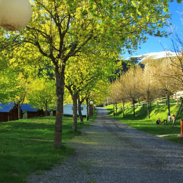 viu-torla-dettr