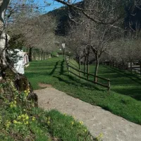 viu-torla-pcegq