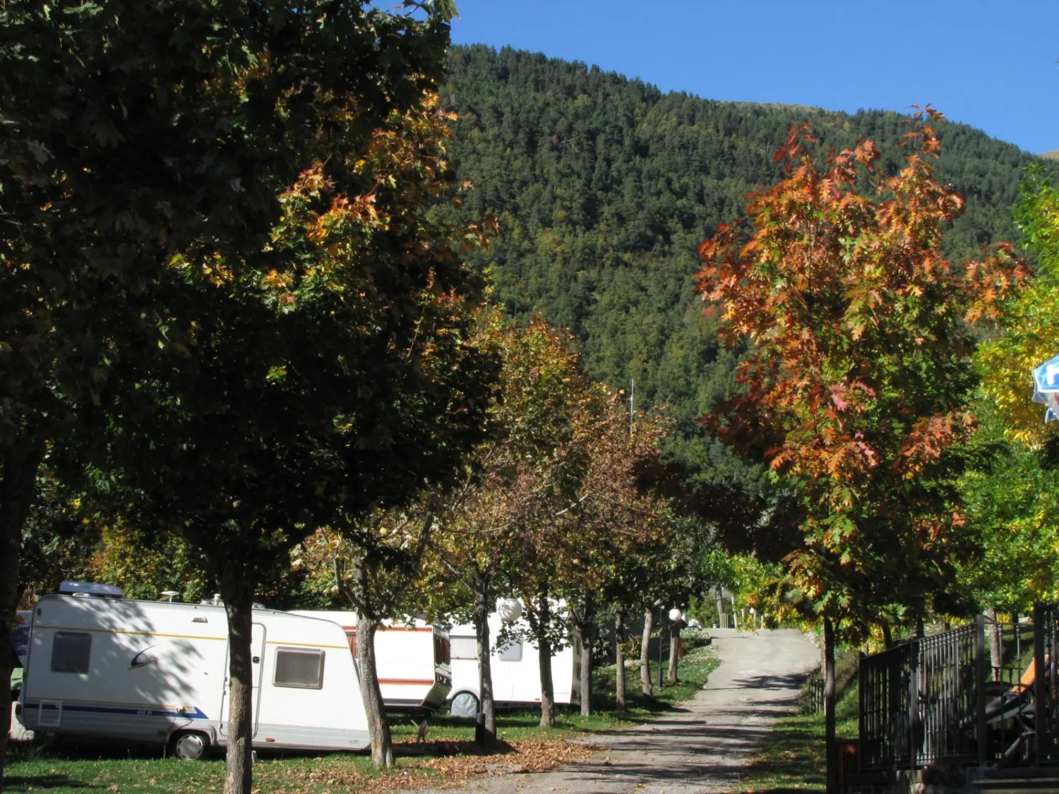 viu-torla-sioeh