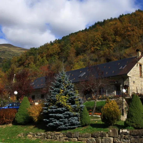 viu-torla-vtnqe