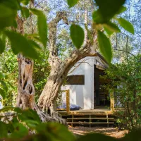 le-beau-veze-carqueiranne-60aii