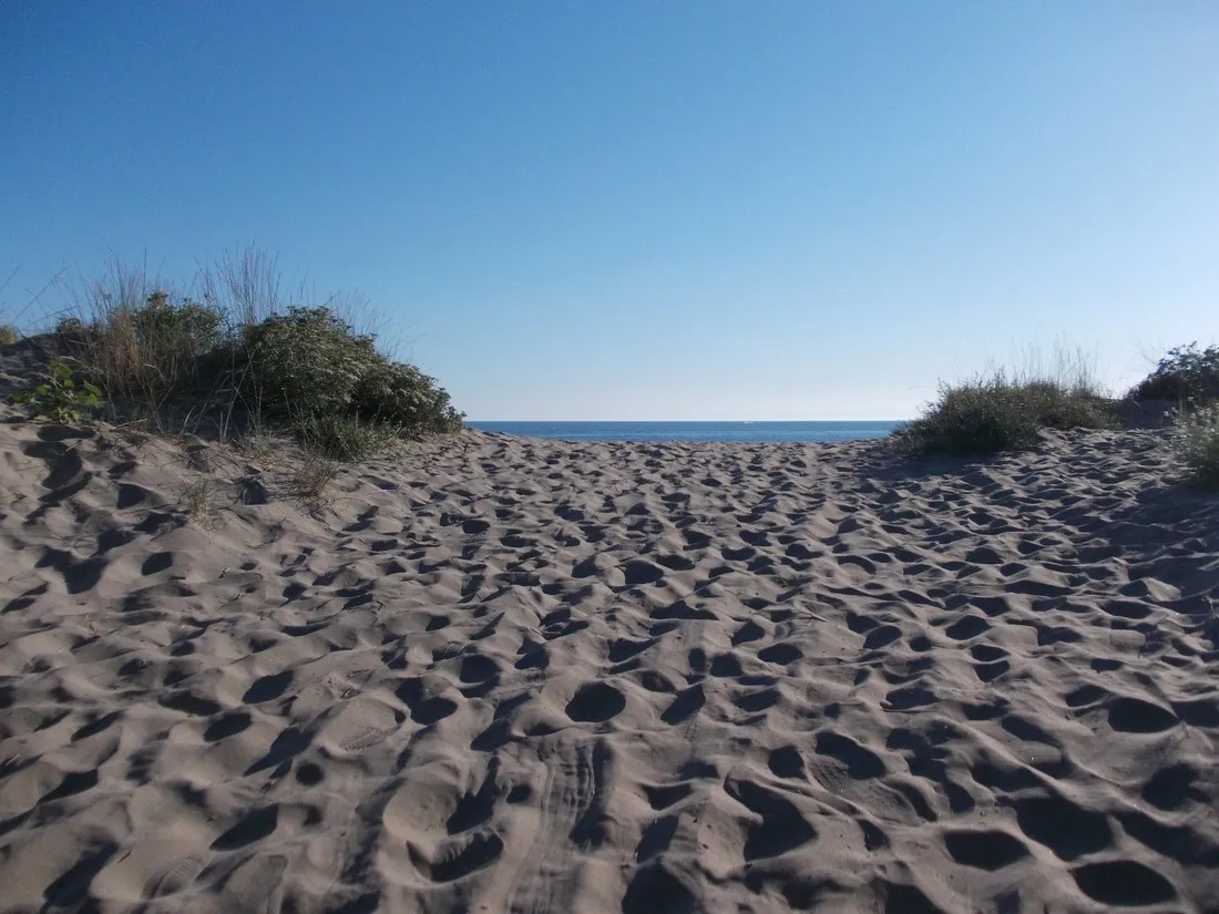 de-la-tama-agde-9dhrm