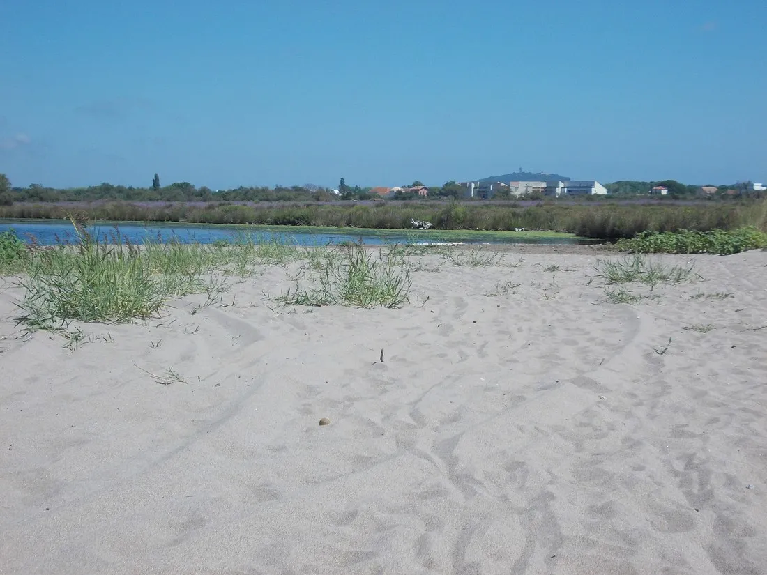 de-la-tama-agde-hercp