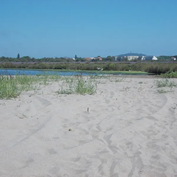 de-la-tama-agde-hercp