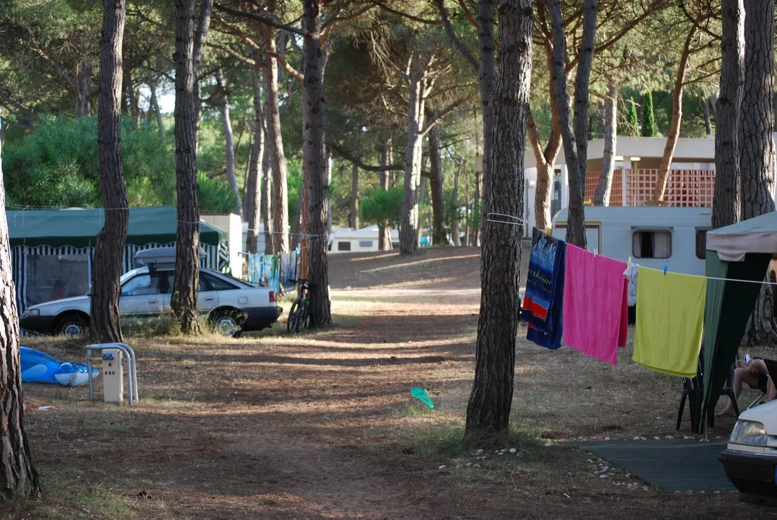 de-la-tama-agde-imigo