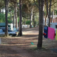 de-la-tama-agde-imigo