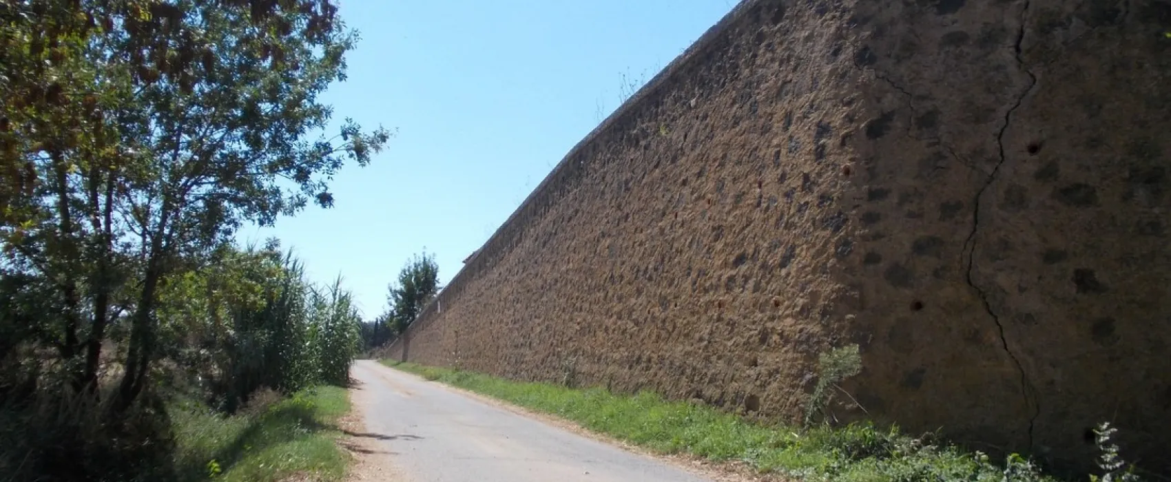 De La Tama
