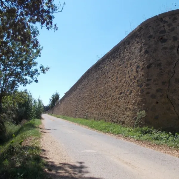 de-la-tama-agde-mqqs4