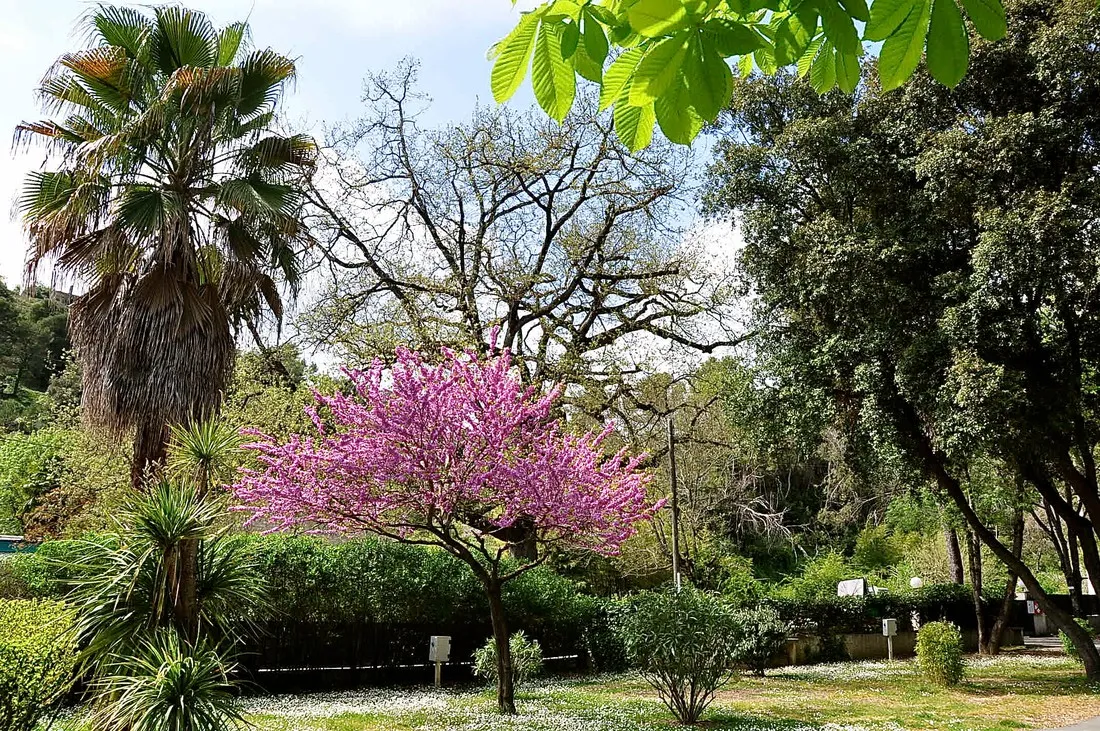 le-val-fleuri-cagnes-sur-mer-e7gnd