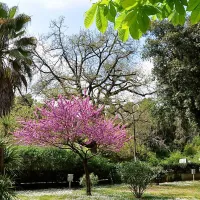 le-val-fleuri-cagnes-sur-mer-e7gnd