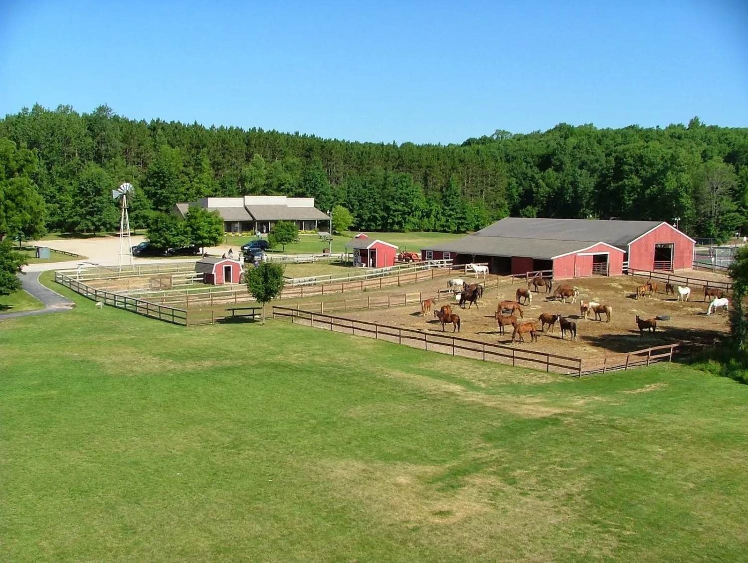 cran-hill-ranch-rodney-y28gn