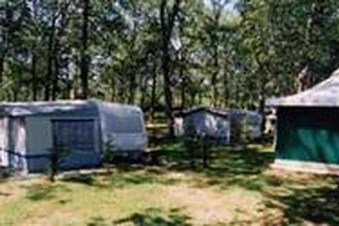 camping-vega-de-francia-sotoserrano-azqej
