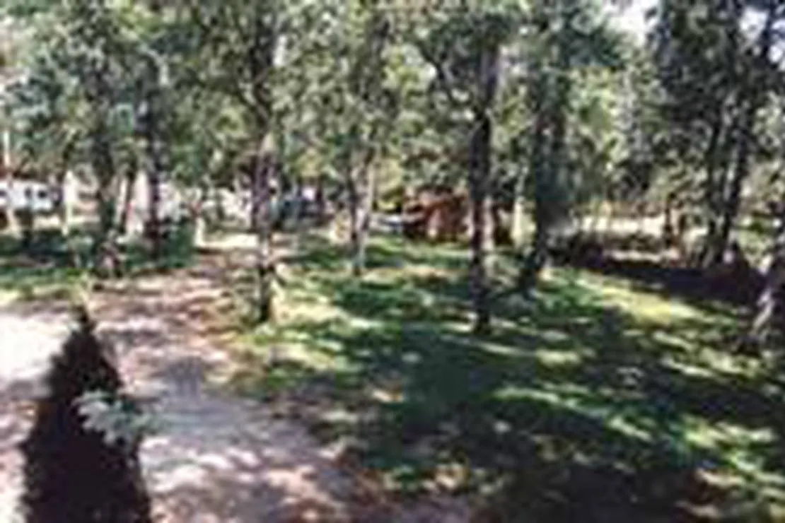 camping-vega-de-francia-sotoserrano-js9cm
