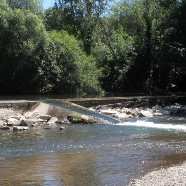 camping-le-chapeau-chinois-villersexel-ndpbj