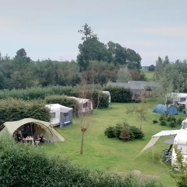 Pieter’s Farm