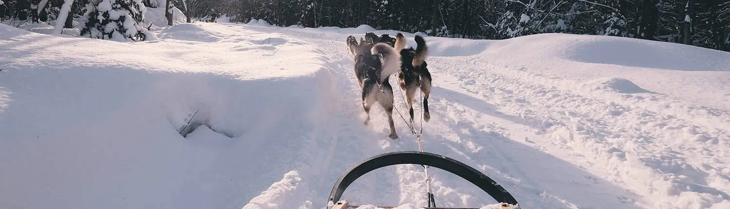 ornvik-camping-lulea-mra1i