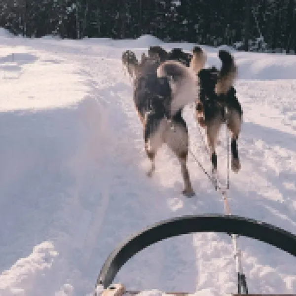ornvik-camping-lulea-mra1i