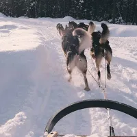 ornvik-camping-lulea-mra1i