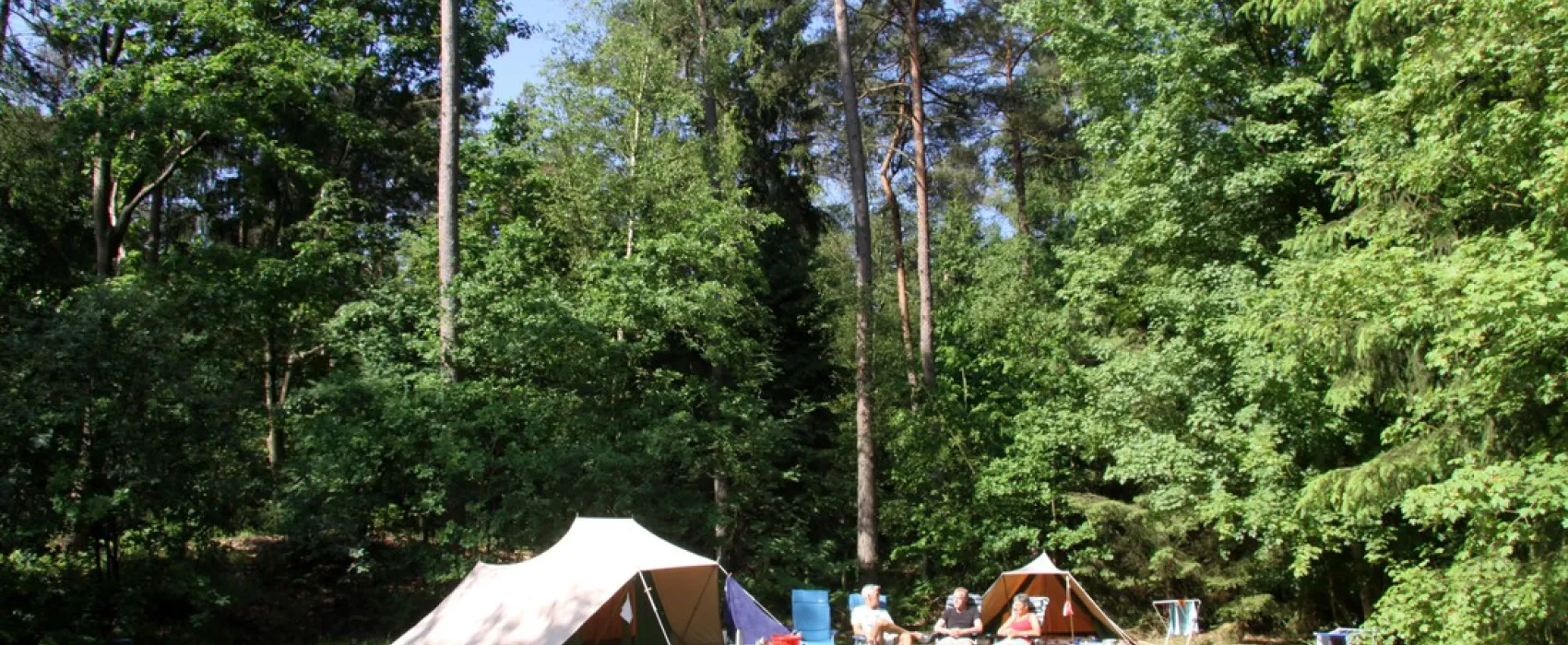 't Vlintenholt