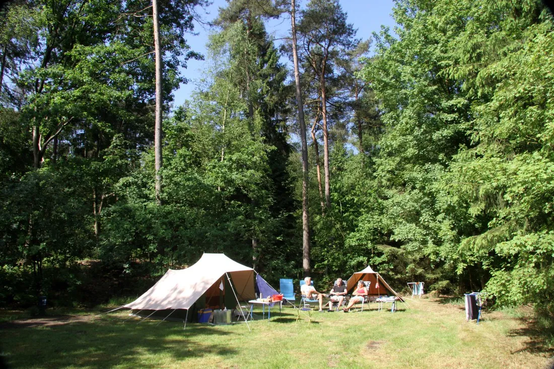 t-vlintenholt-odoorn-sgmrx