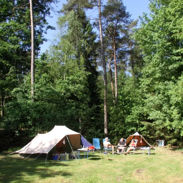 t-vlintenholt-odoorn-sgmrx