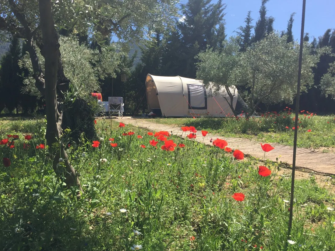 mini-camping-ardalejo-alhaurin-el-grande-enlcu