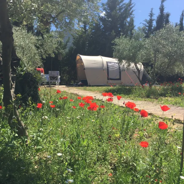 mini-camping-ardalejo-alhaurin-el-grande-enlcu