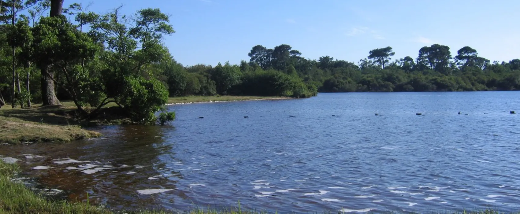 Municipal Le Lac