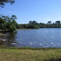 municipal-le-lac-ste-eulalie-en-born-landes-jumpb