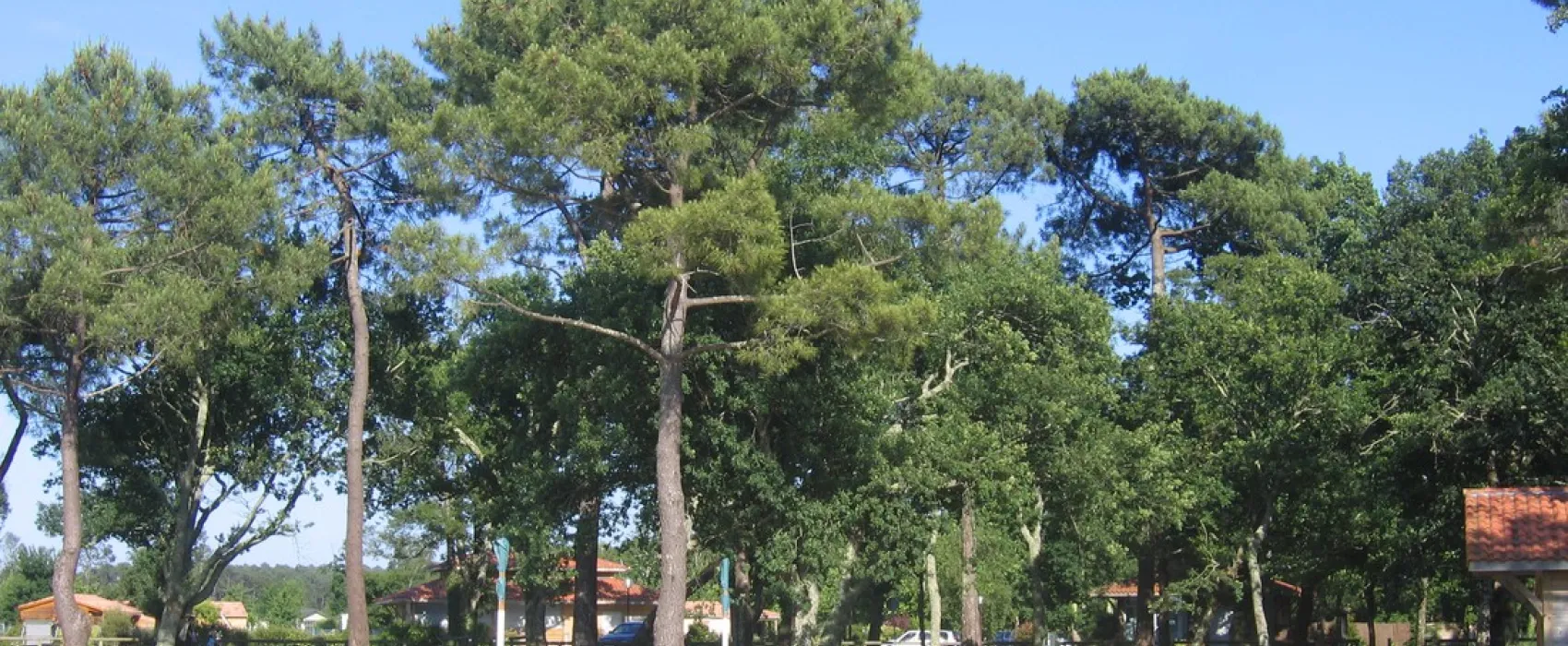 Municipal Le Lac
