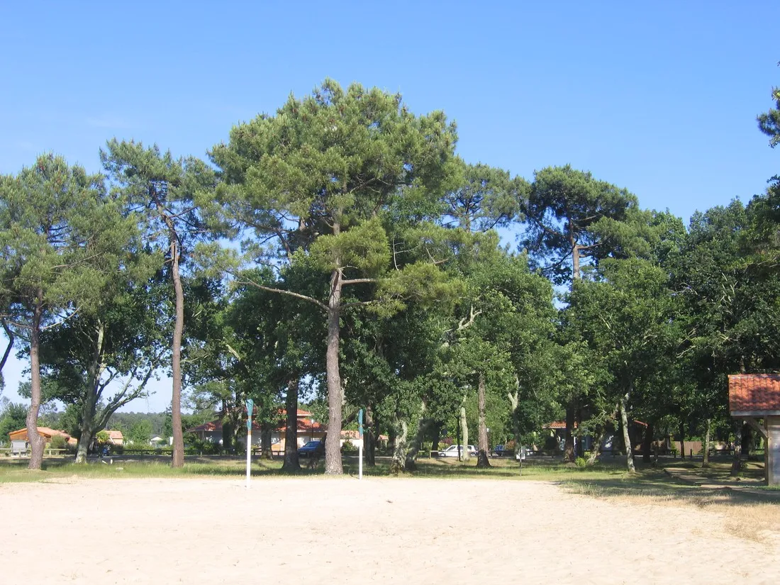 municipal-le-lac-ste-eulalie-en-born-landes-tzr4m