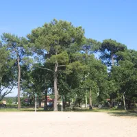 municipal-le-lac-ste-eulalie-en-born-landes-tzr4m
