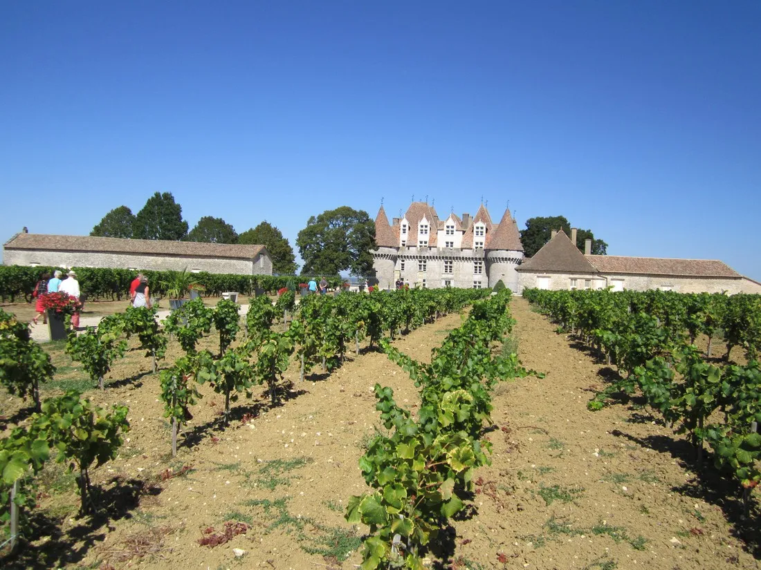 le-gout-de-li-degagnac-mo0il