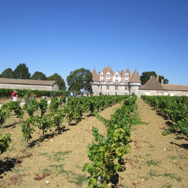 le-gout-de-li-degagnac-mo0il