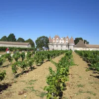 le-gout-de-li-degagnac-mo0il