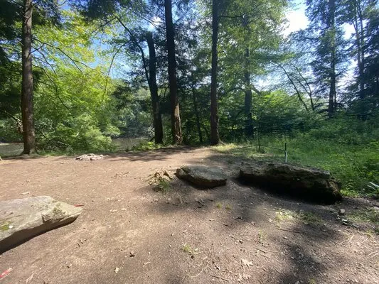 clarion-river-designated-campsites-sigel-gydue