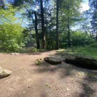 clarion-river-designated-campsites-sigel-gydue