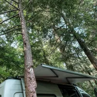 clarion-river-designated-campsites-sigel-w1lxv