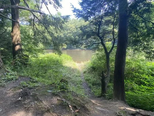 clarion-river-designated-campsites-sigel-ytbm1