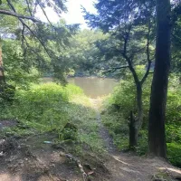 Clarion River Designated Campsites
