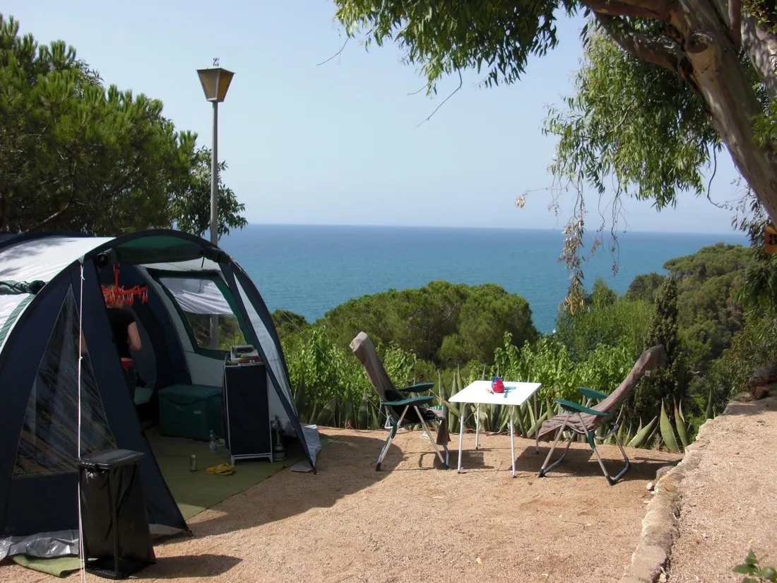 botanic-bona-vista-calella-9sq9v