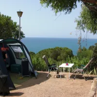 botanic-bona-vista-calella-9sq9v