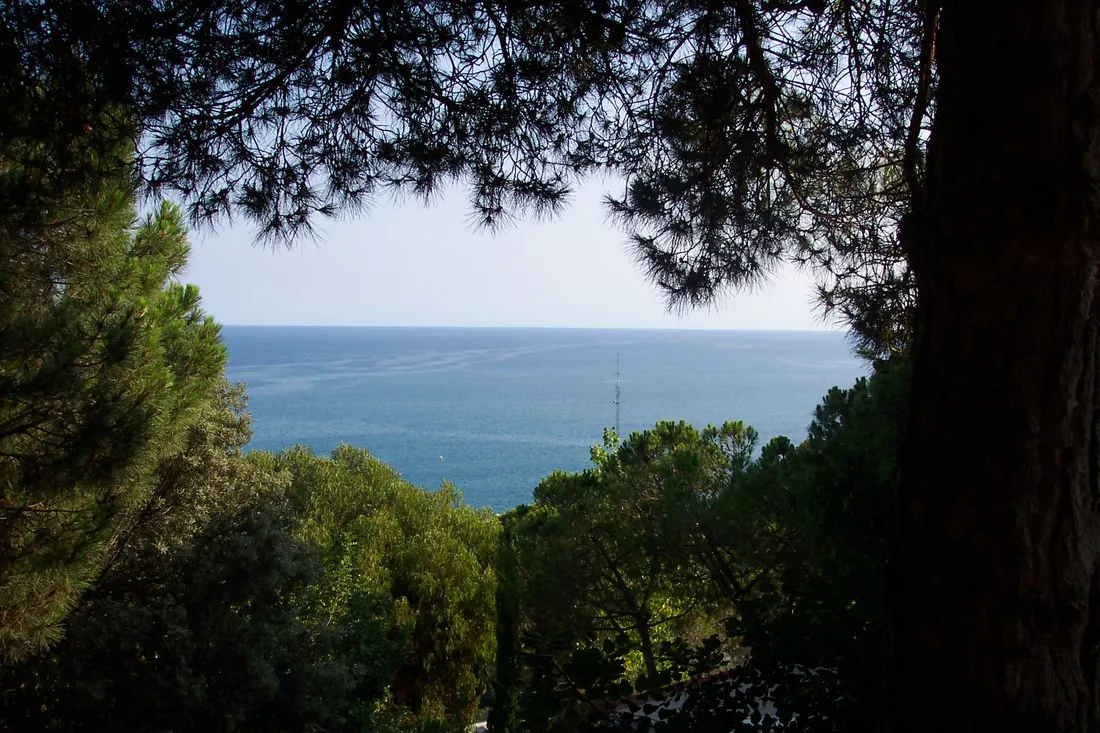 botanic-bona-vista-calella-dtqa9